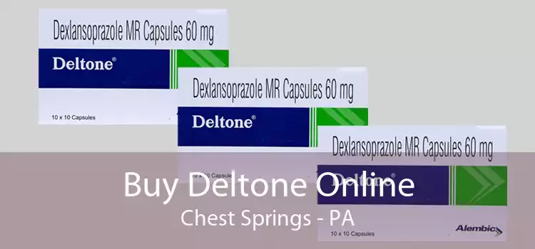 Buy Deltone Online Chest Springs - PA